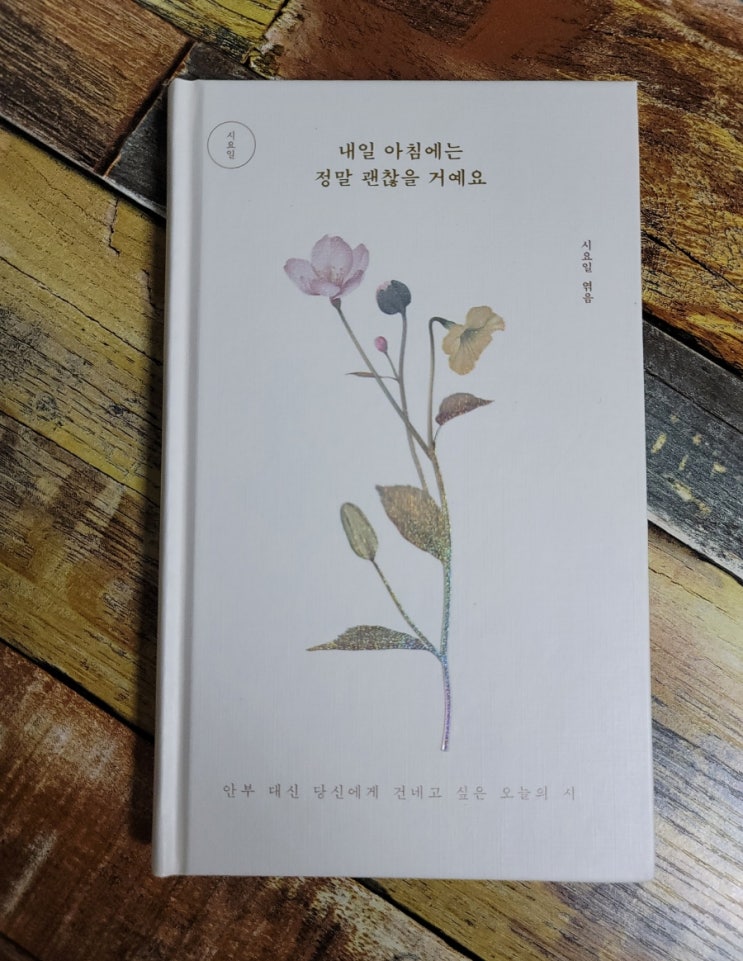  [독서] 내일 아침에는 정말 괜찮을 거예요 (안부 대신 당신에게 건네고 싶은 오늘의 시) 시요일, 미디어창비  2021.03.02