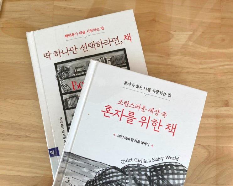  1%의 infj를 위한 공감의 책 <소란스러운 세상 속 혼자를 위한 책>