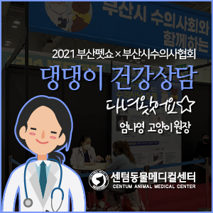  엄나영 고양이 원장, 2021 부산펫쇼×부산시수의사협회 댕댕이 건강상담 다녀왔어요