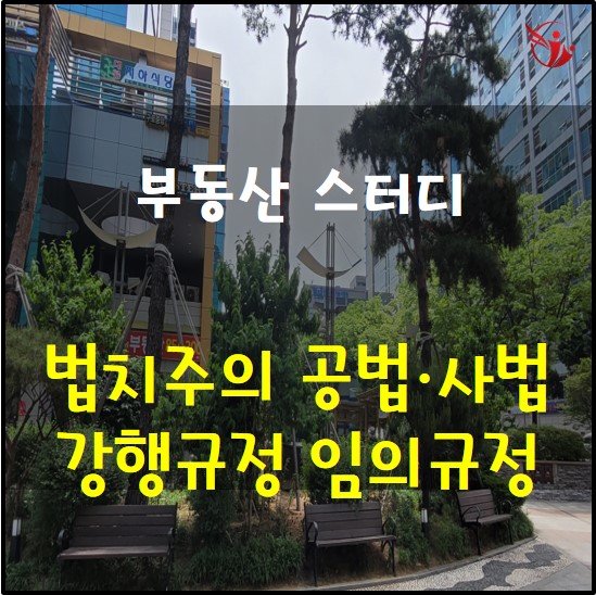  부동산 스터디 법치주의 공법 사법 강행규정 임의규정