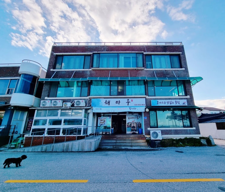 강릉 회포장 회센터보다 가성비 좋은 횟집 끝판왕 남항진 해마루