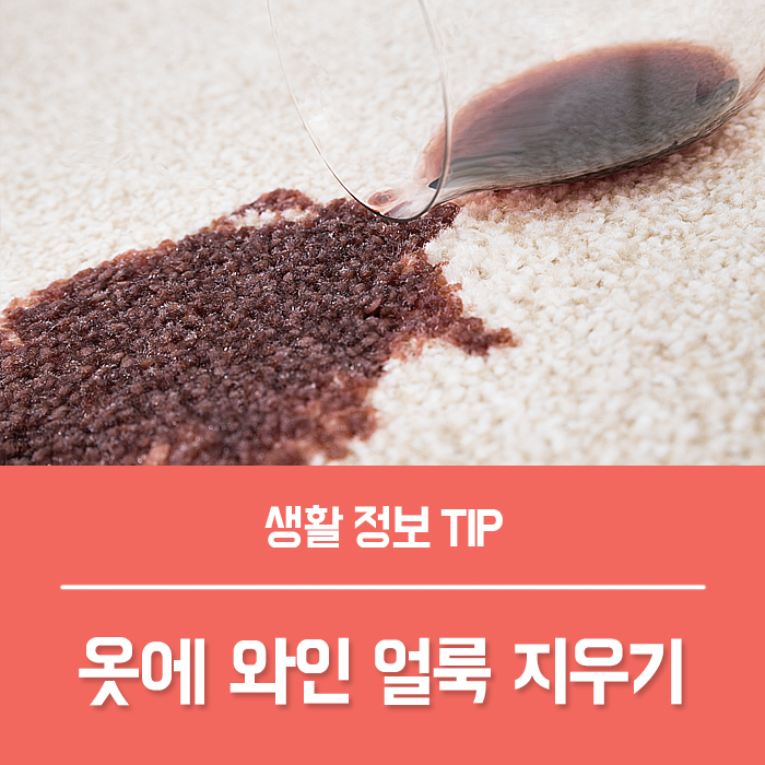  레드와인 지우기 옷에 묻은 얼룩 저만 믿으세요