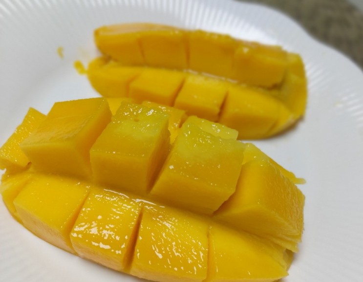&lt;상식&gt; 망고 Mango 보관법 카라바오 망고 carabao mango 망고 자르는 법 써는법