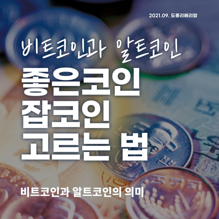  비트코인 가상화폐 잡코인 거르는 법 (ft.알트코인, 블록체인)