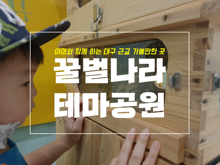  국내유일 꿀벌 박물관, 꿀벌나라 테마공원 대구 근교 아이랑