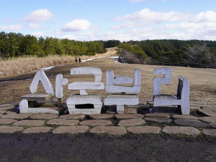  산굼부리로 떠나는 휠체어 가을 여행