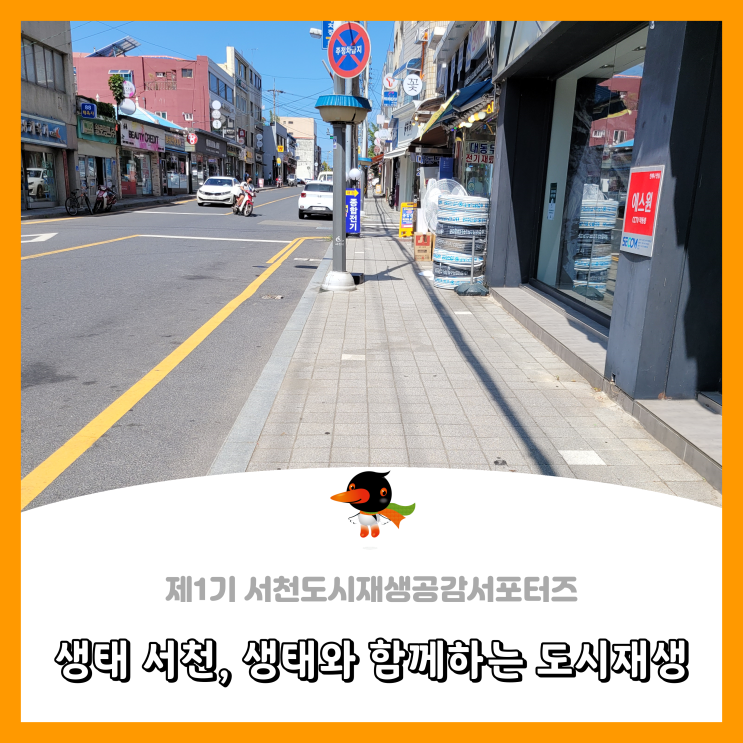  [서천군도시재생공감서포터즈단] 생태 서천, 생태와 함께하는 도시재생