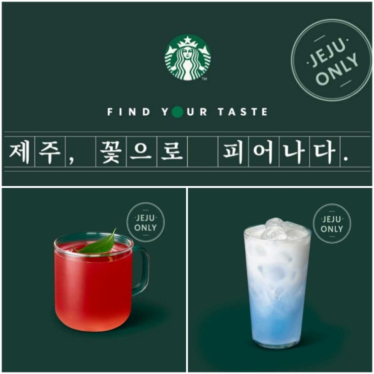  제주스노잉백록담 제주카멜리아티 스타벅스 제주 한정 메뉴