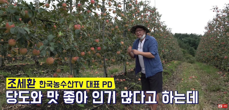아카디안29 영양제 살포로 매년 남들보다 2배 비싼 사과를 만드는 비결은?