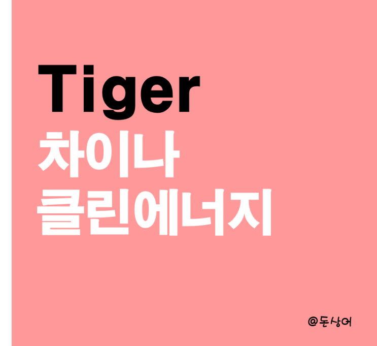  Tiger 차이나클린에너지 Solactive : 중국 친환경 기업에 투자