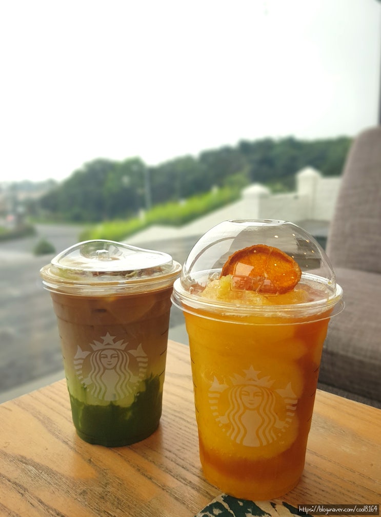  제주 중문 카페, 이국적 분위기가 물씬 나는 스타벅스 제주중문점, 제주 한정 메뉴: 제주 천혜향 블랙티 제주 비자림 콜드브루