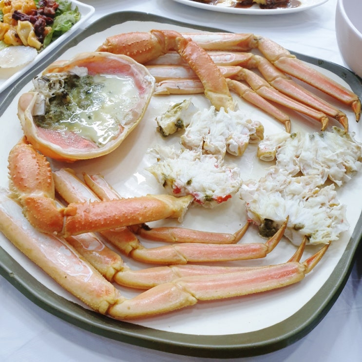  [속초 대포항 맛집] 애견동반식당 대게 추천 ; 어촌회센터