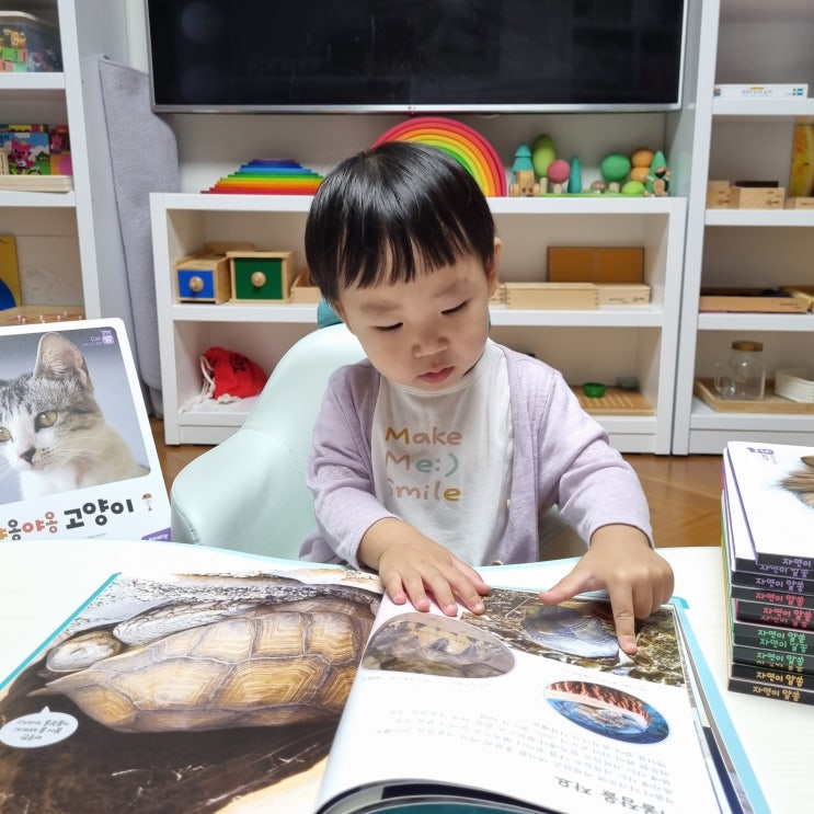  [책육아] 키즈에이원 자연이알쏭 1년 찐후기/활용법 (내돈내산)