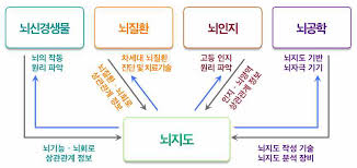  알기쉬운뇌과학 : 뇌질환과 치료에 관하여