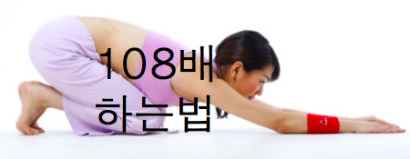 108배 다이어트 효과