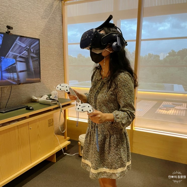 [무료관람] 국립중앙박물관에서 VR 체험하기, 디지털 실감 영상관 2 후기