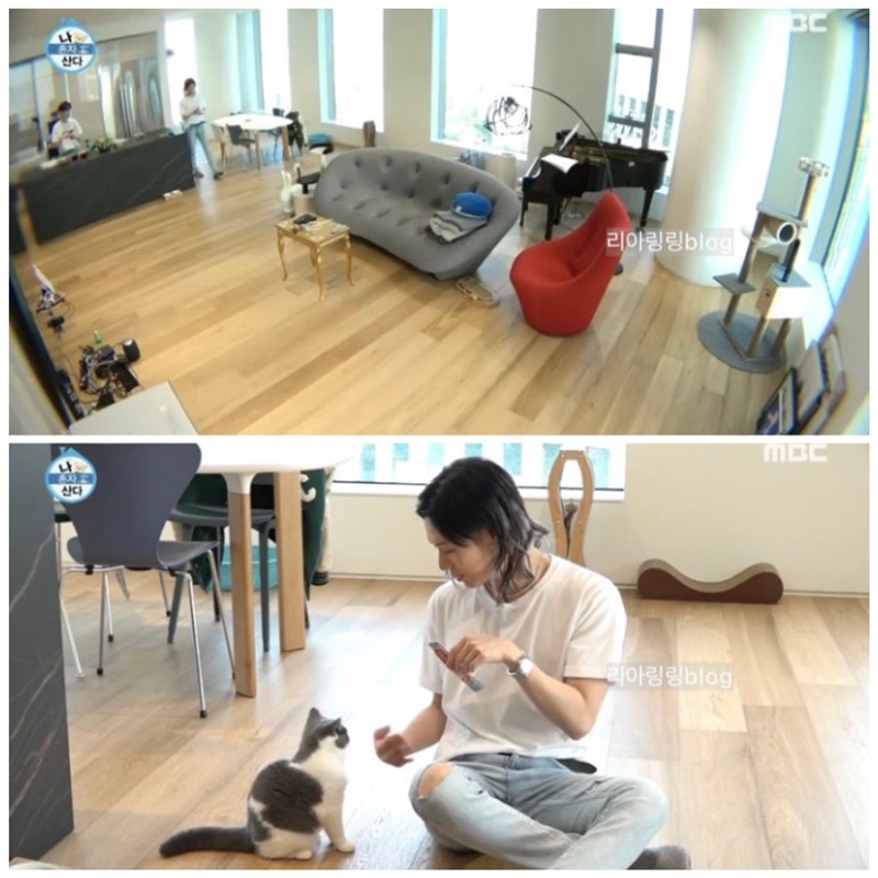 SHINee's Taemin: Home Location (Acro Forest Apartment), Military Status Photos, Debut Age, Instagram, Family, and More
