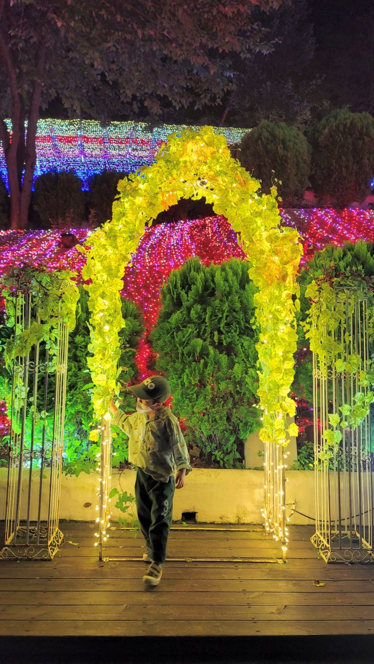 5세 아들과 밤 하늘의 반짝이는 빛 축제 청도 프로방스에서