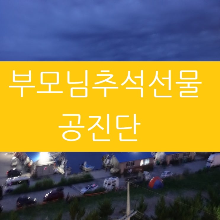  부모님추석선물 공진단 찾으시나요