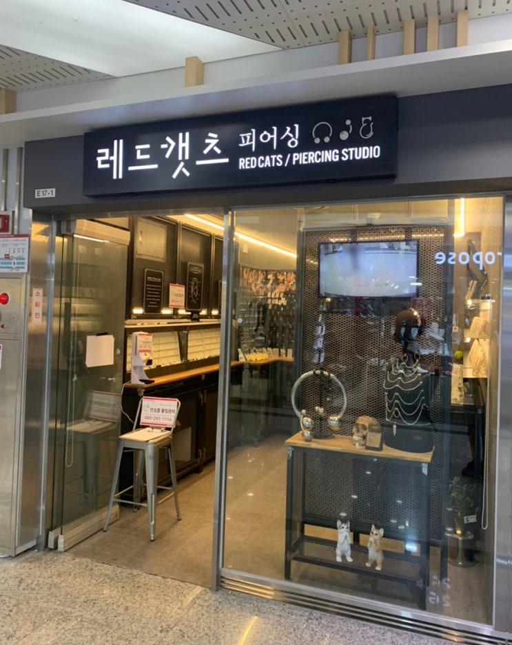  창원 마산 귀 뚫는 피어싱 맛집, 합성동 대현프리몰 레드캣츠 :)