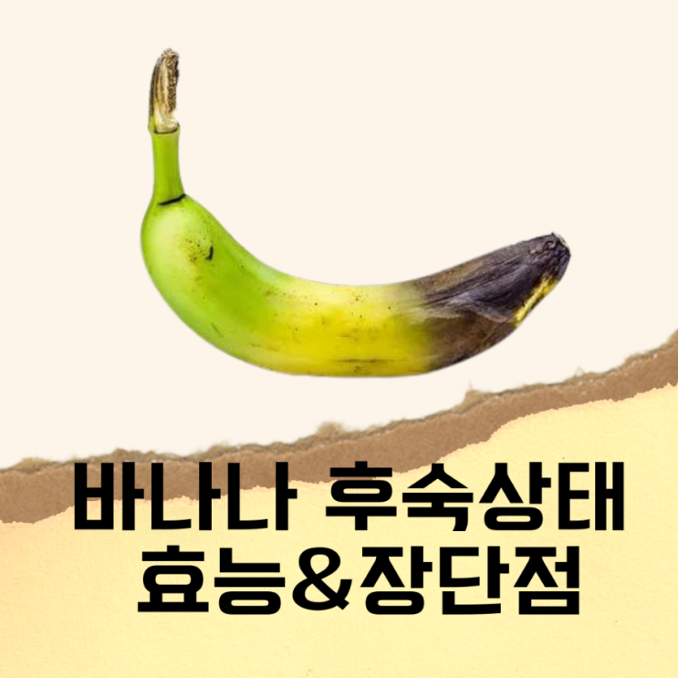  바나나 후숙상태에 따른 효능과 장단점 비교, 보관방법, 공복&운동전 바나나