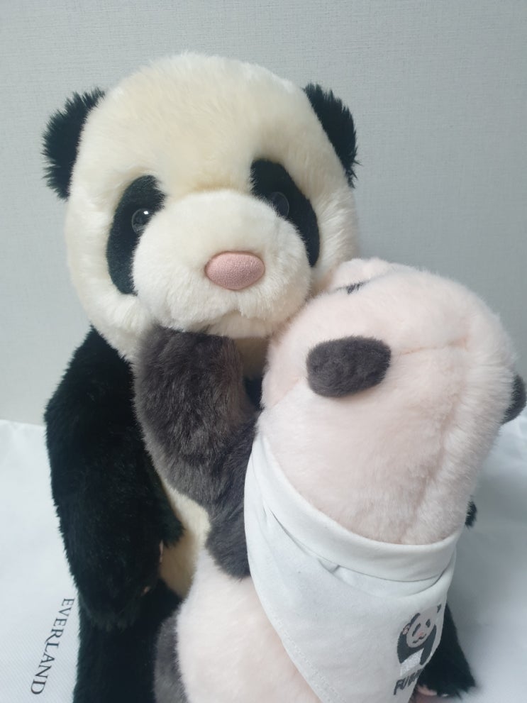  아기판다 푸바오 와디즈 펀딩 인형 도착 후기!