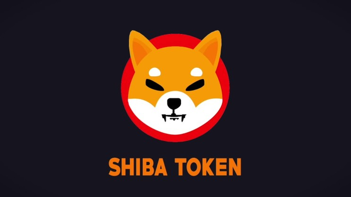  시바이누(SHIB) 코인이란?