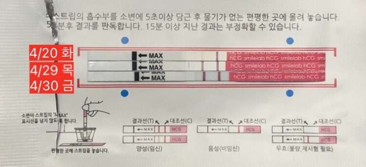  난임기록일기:: #11. 시험관아기_3일배양 배아이식 2차피검사 결과/초음파 아기집 확인/시험관임신주수계산 (@에이치아이여성의원 정다정원장님반)