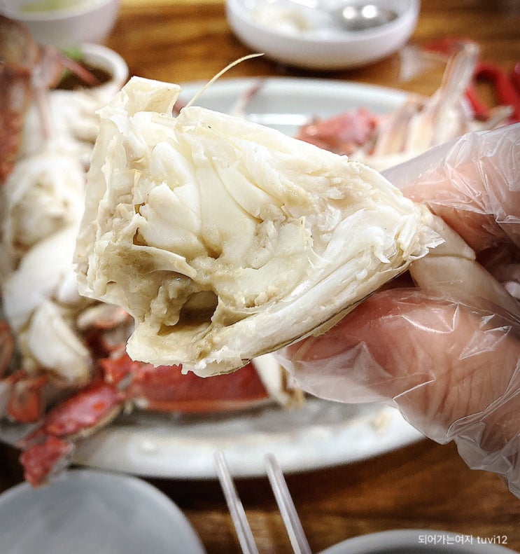  마장동 꽃게찜 꽃게백숙 잘하는 집 / 마장동 군산꽃게아구 다녀온 후기 [내돈내산]
