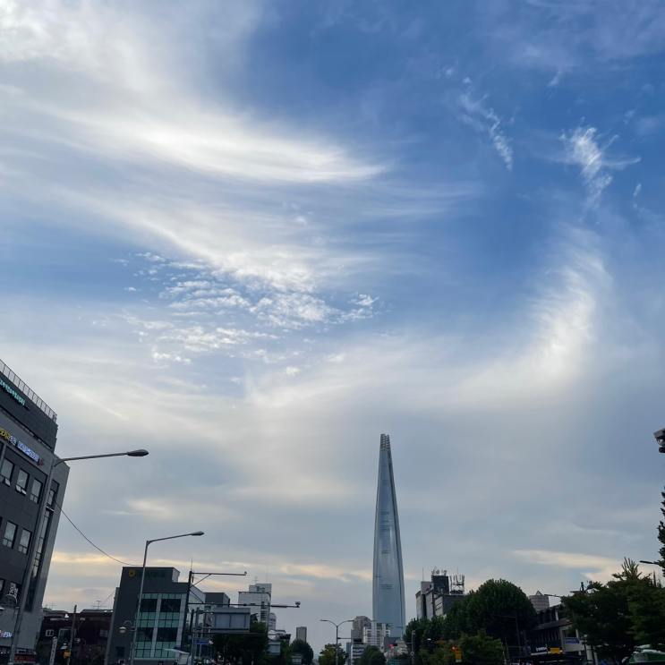  일상 / 별거많았던 9월 일상 쓰날일기 (고양이,코수술,하늘,상추)