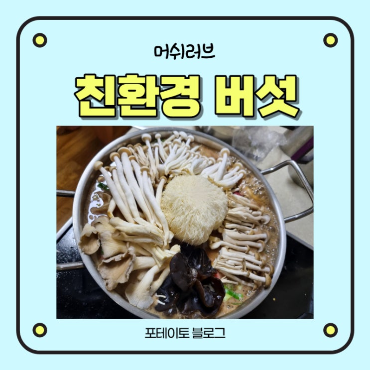  머쉬러브 자연산 버섯 고기 느타리버섯 버섯주문해서 먹었어요!