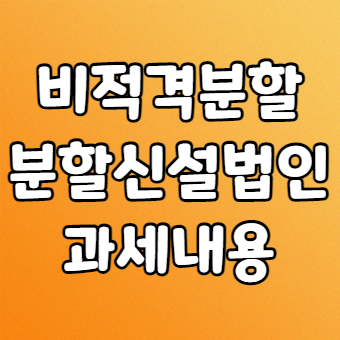  비적격분할 신설법인 과세