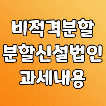 비적격분할 신설법인 과세