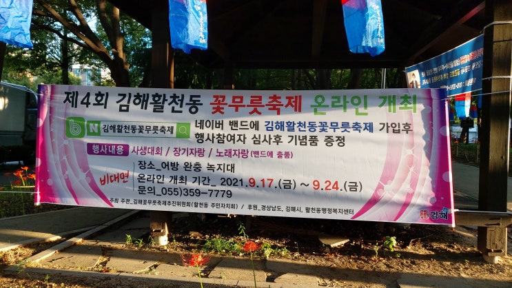 김해 꽃무릇 축제(인터넷)