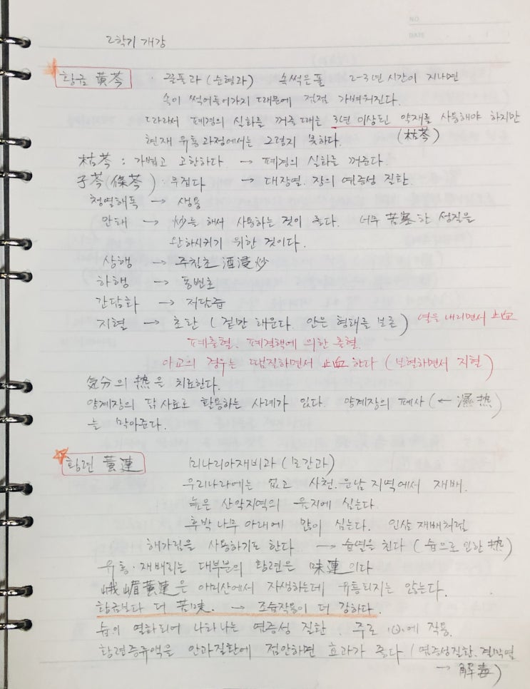  학부 때 필기했던 추억의 본초학 노트 