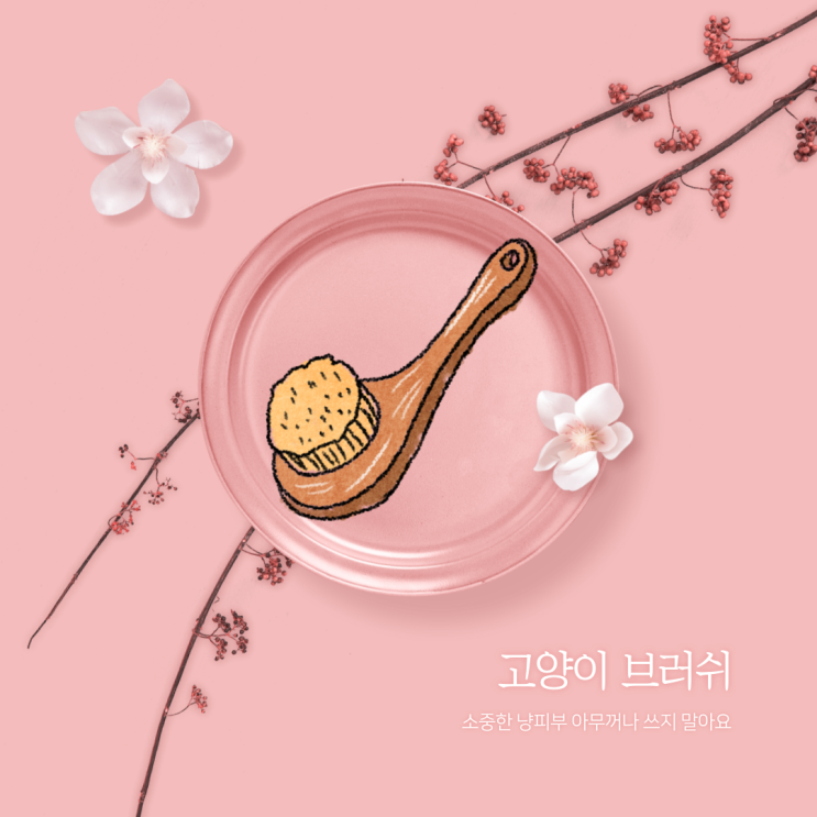  슬리커 브러쉬 후기와 다양한 고양이빗 종류부터 사용법까지