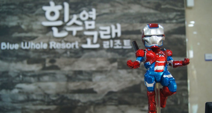  제주 키즈호텔 흰수염고래 리조트 (아이동반으로 가기 좋은 숙소)