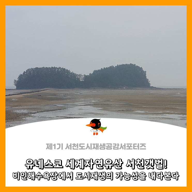  [서천군도시재생공감서포터즈단] 유네스코 세계자연유산 서천갯벌! 비인해수욕장에서 도시재생의 가능성을 내다본다.
