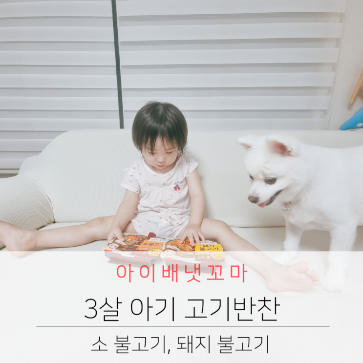  아이배냇  3살 아기 고기반찬 소 불고기, 돼지 불고기 아이 간편식