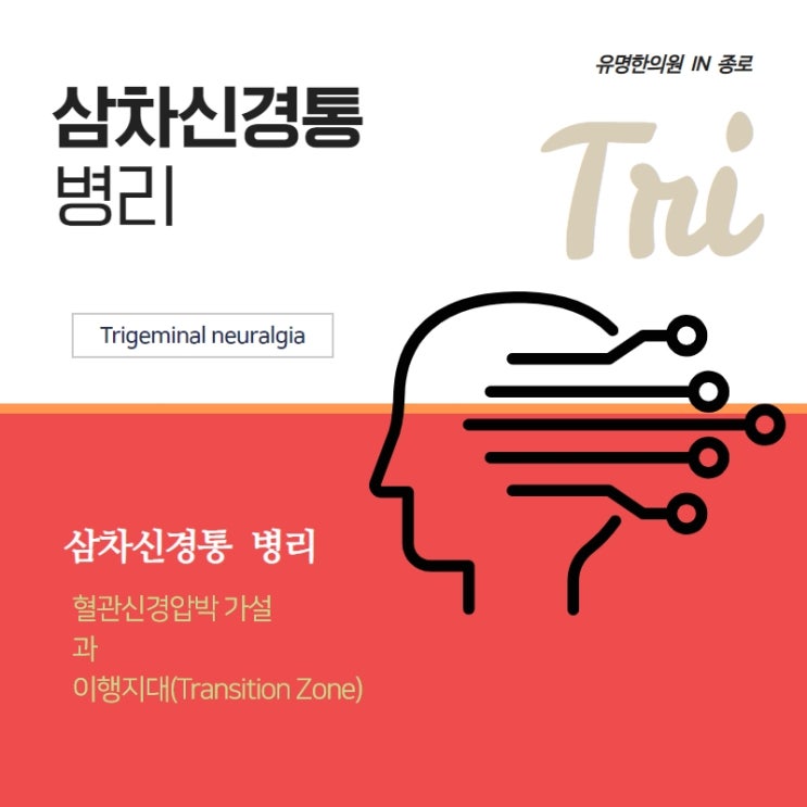  삼차신경통(trigeminal neuralgia) 5. 신경혈관압박(neurovascular compression)과 이행지대  tranazition zone