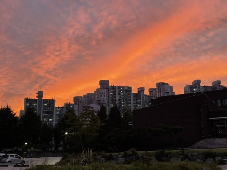  [9/16 운동기록] 필라테스 - 리포머