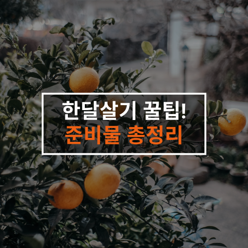  [한달살기 꿀팁] 준비물 체크리스트 정리