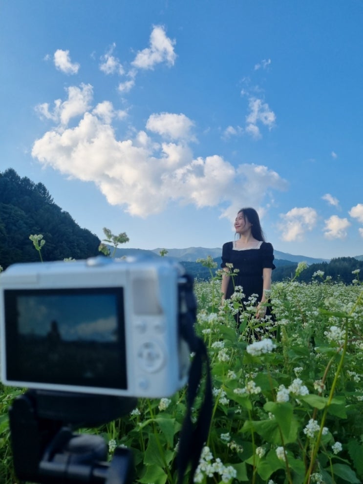  [일상 블로그] 내돈내산 성공적 : 포토 텀블러, 컬러 마스크 / 메밀꽃 필 무렵 9월 일기(2)