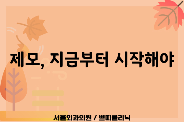  노원아포지제모 여름을 준비하려면 지금부터