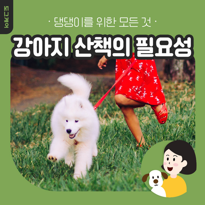  강아지 산책(돌봄)의 필요성