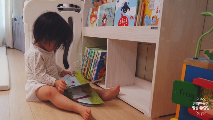  돌아기 그림책 핀덴베베 핀덴카 2년사용기