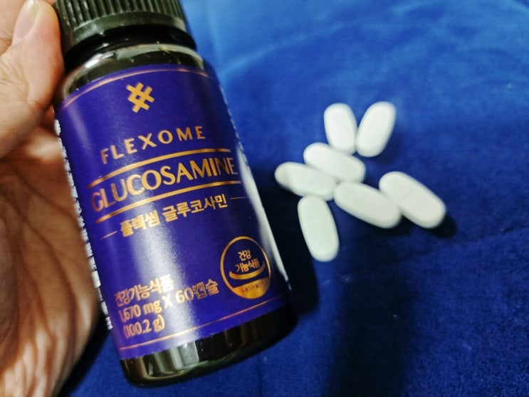  뼈건강에 좋은 글루코사민 추천 플렉썸 글루코사민 MSM 함유
