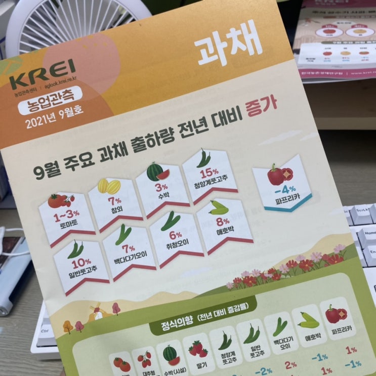  최근 일상