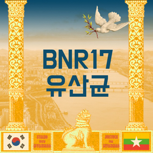  BNR17 유산균 분말 효능 및 추천 제품 가격 총정리