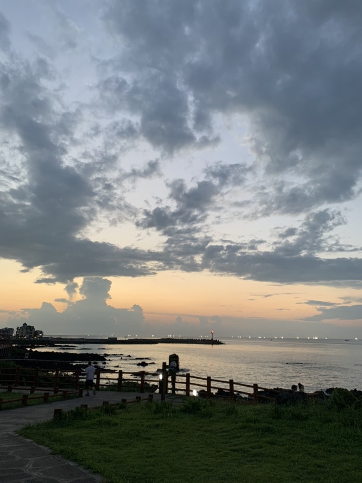  8월의 제주